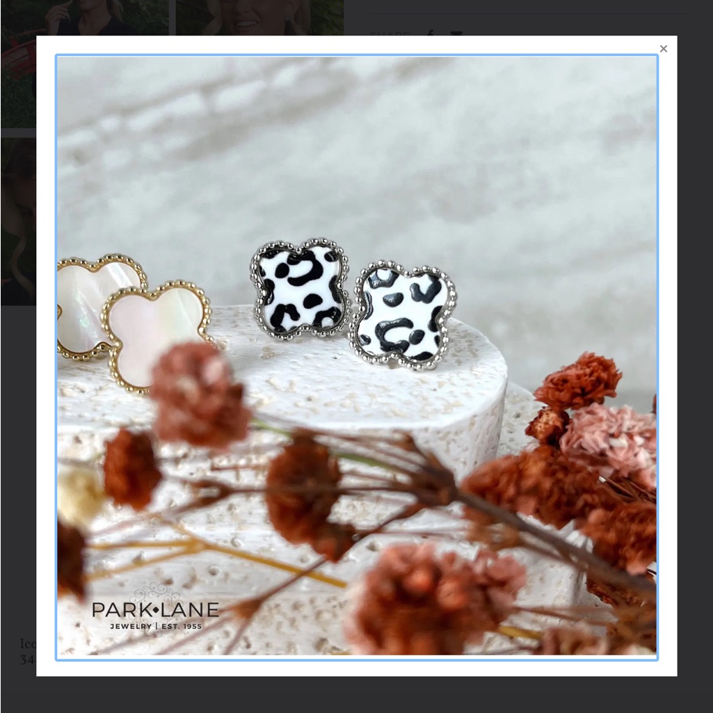 Park Lane Monochrome Patterned Earrings 45$